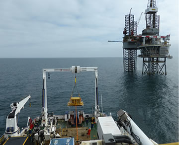 Company Image